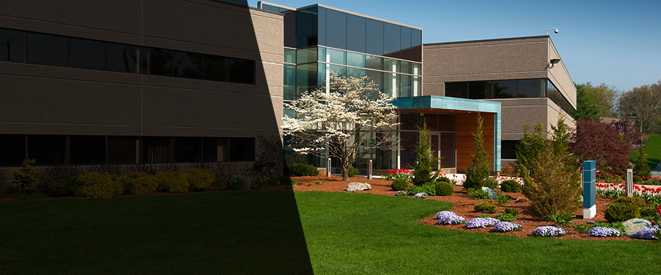 Sea Cliff Landscapers