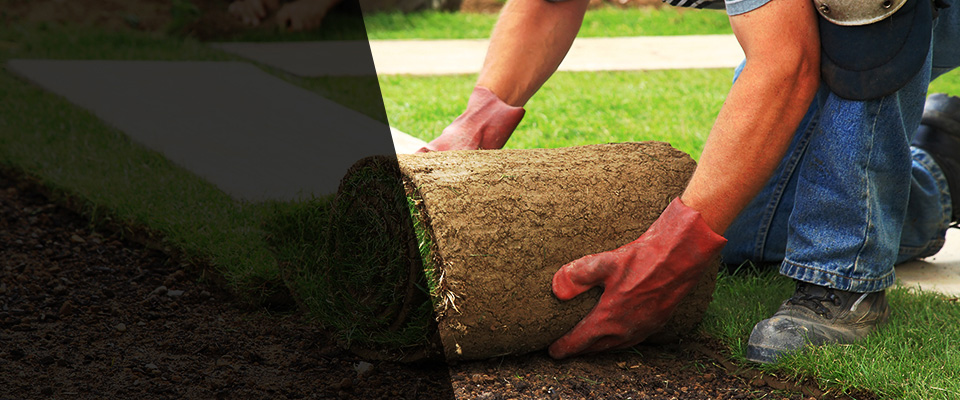 Sea Cliff Landscapers